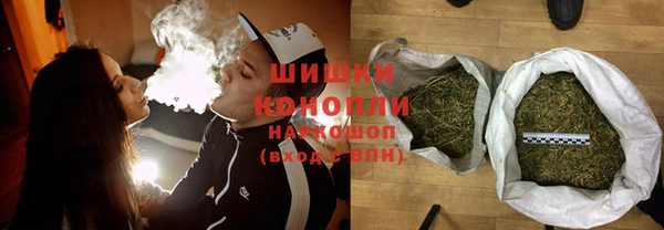 apvp Иннополис