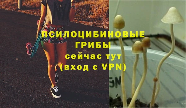 герыч Инсар