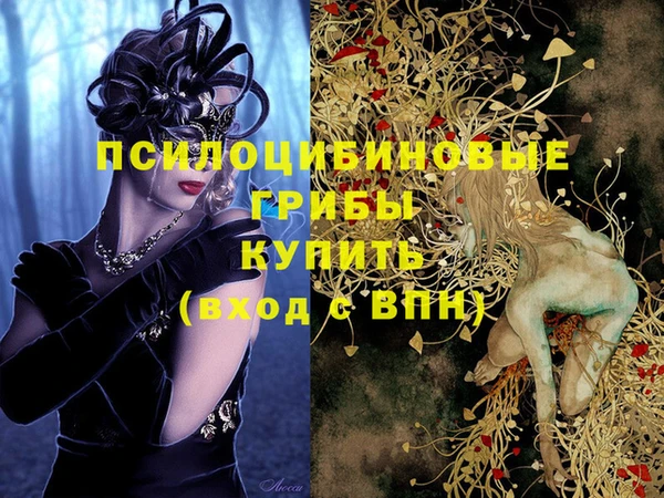 каннабис Инта