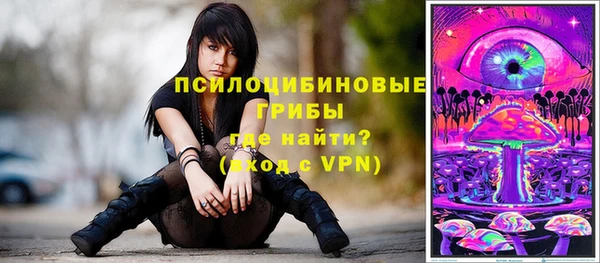 apvp Иннополис