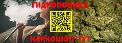 стаф Ливны