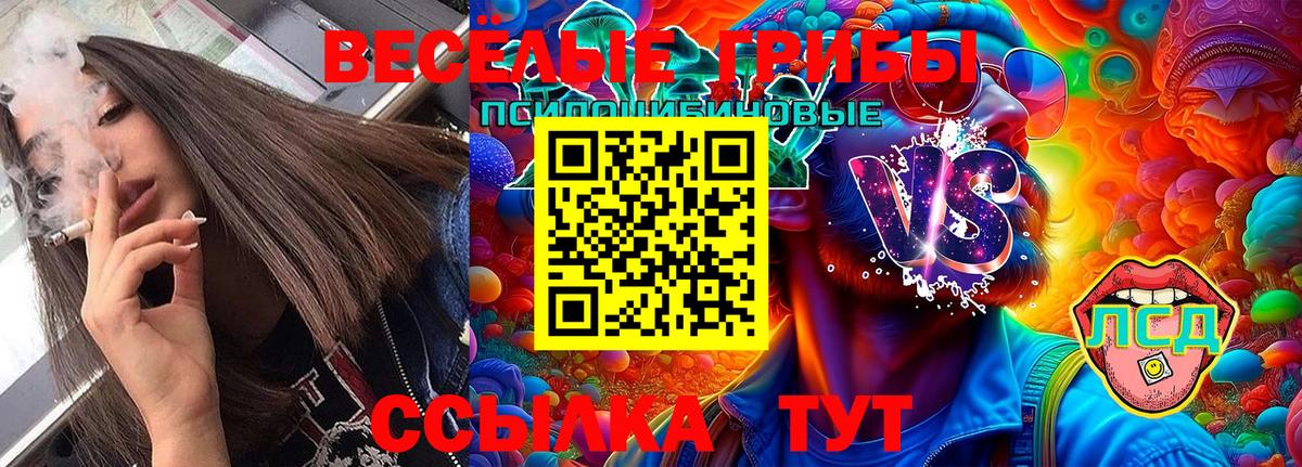 Псилоцибиновые грибы Cubensis Евпатория