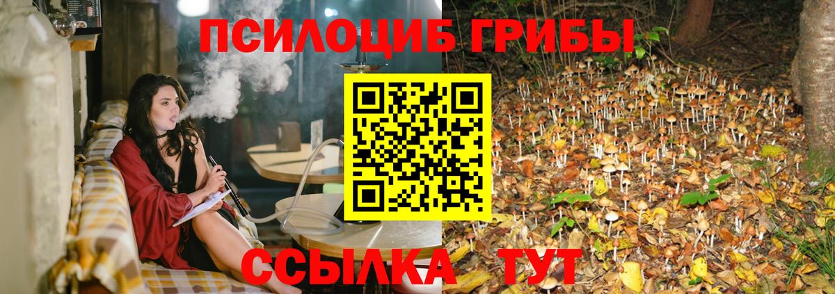 Галлюциногенные грибы Cubensis  Вход с VPN  Галлюциногенные грибы прущие грибы  Евпатория 